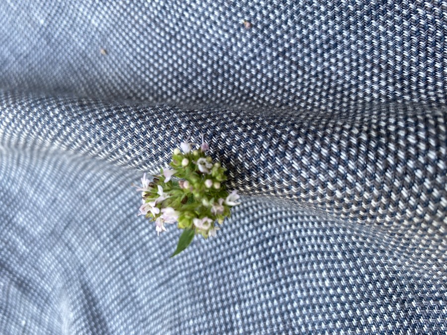 Gr Nature lininė A formos pilko melanžo suknelė 